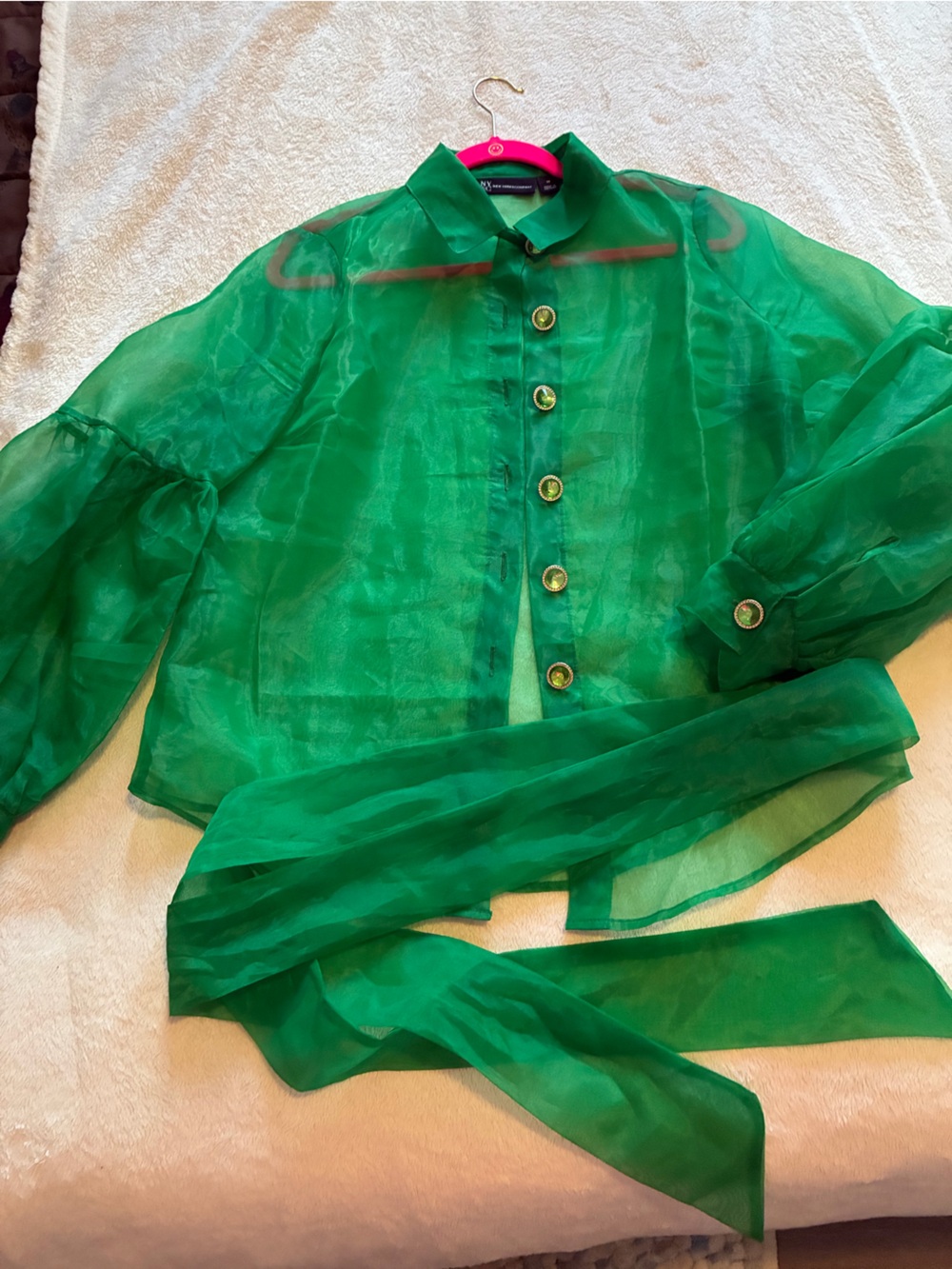 Sheer Green Button-Front Women's Blouse Jacket